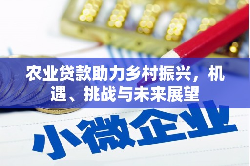 岳塘农业贷款助力乡村振兴，机遇、挑战与未来展望