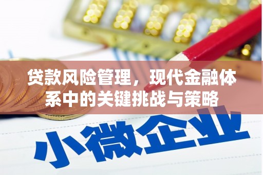 岳塘贷款风险管理，现代金融体系中的关键挑战与策略