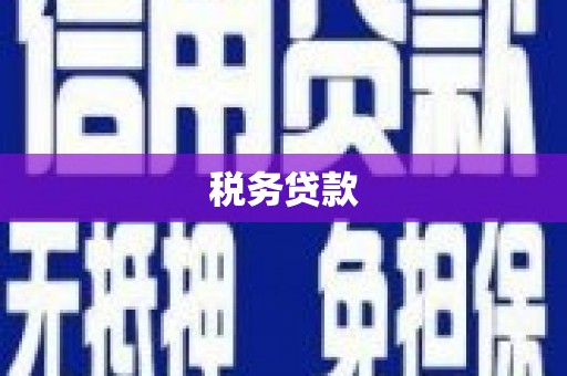 岳塘税务贷款