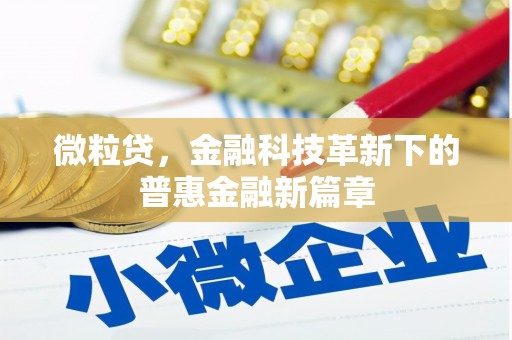 岳塘微粒贷，金融科技革新下的普惠金融新篇章