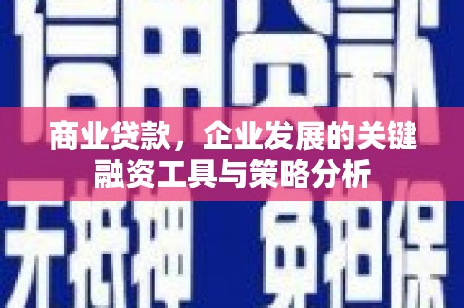 岳塘商业贷款，企业发展的关键融资工具与策略分析