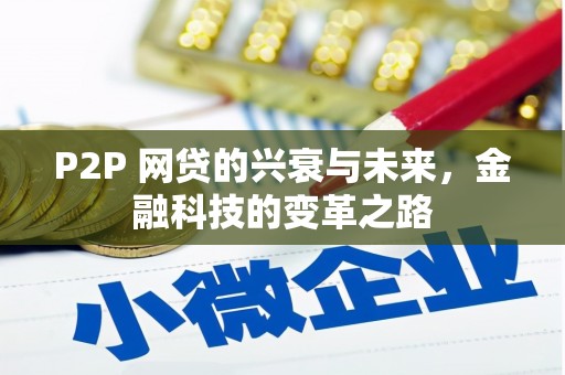 岳塘P2P 网贷的兴衰与未来，金融科技的变革之路