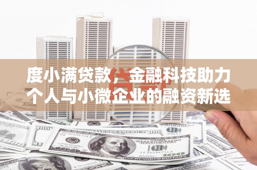 岳塘度小满贷款，金融科技助力个人与小微企业的融资新选择