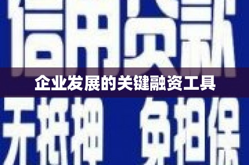 岳塘企业发展的关键融资工具