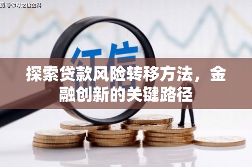 岳塘探索贷款风险转移方法，金融创新的关键路径
