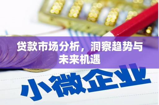 岳塘贷款市场分析，洞察趋势与未来机遇