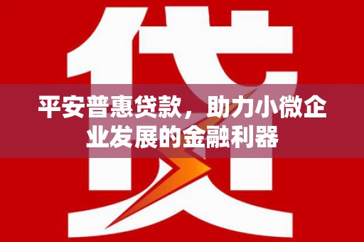 岳塘平安普惠贷款，助力小微企业发展的金融利器