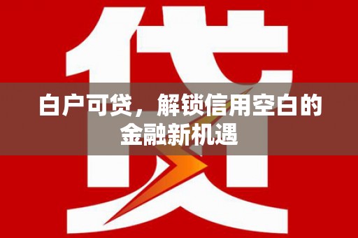 岳塘白户可贷，解锁信用空白的金融新机遇