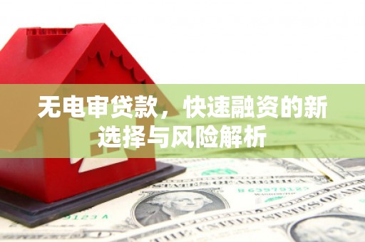 岳塘无电审贷款，快速融资的新选择与风险解析