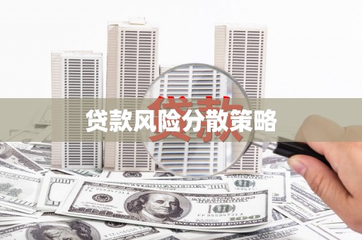岳塘贷款风险分散策略