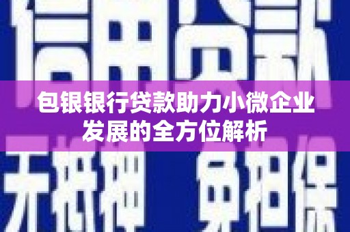 岳塘包银银行贷款助力小微企业发展的全方位解析
