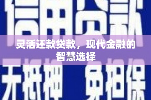 岳塘灵活还款贷款，现代金融的智慧选择