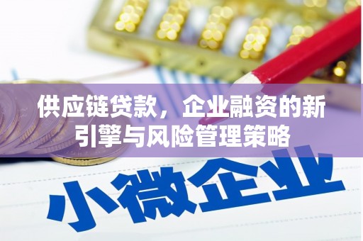 岳塘供应链贷款，企业融资的新引擎与风险管理策略