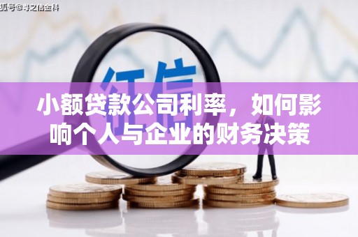 岳塘小额贷款公司利率，如何影响个人与企业的财务决策