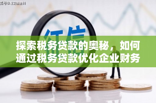 岳塘探索税务贷款的奥秘，如何通过税务贷款优化企业财务