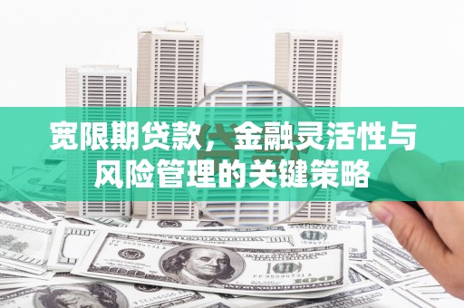 岳塘宽限期贷款，金融灵活性与风险管理的关键策略