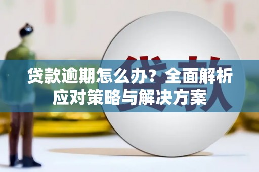 岳塘贷款逾期怎么办？全面解析应对策略与解决方案