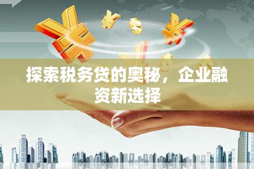 岳塘探索税务贷的奥秘，企业融资新选择