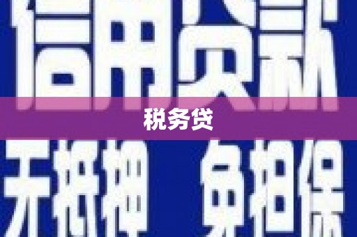 岳塘税务贷