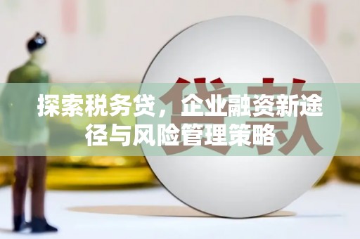 岳塘探索税务贷，企业融资新途径与风险管理策略