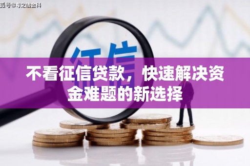 岳塘不看征信贷款，快速解决资金难题的新选择
