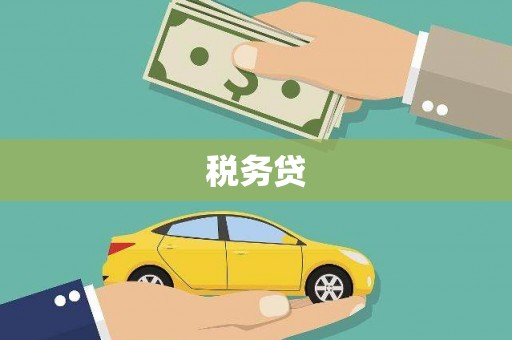 岳塘税务贷