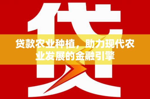 岳塘贷款农业种植，助力现代农业发展的金融引擎