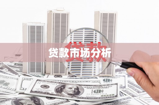 岳塘贷款市场分析