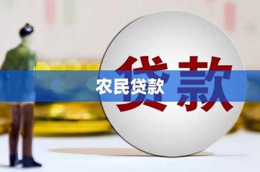 岳塘农民贷款