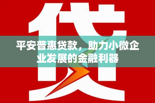 岳塘平安普惠贷款，助力小微企业发展的金融利器