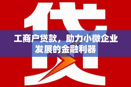岳塘工商户贷款，助力小微企业发展的金融利器