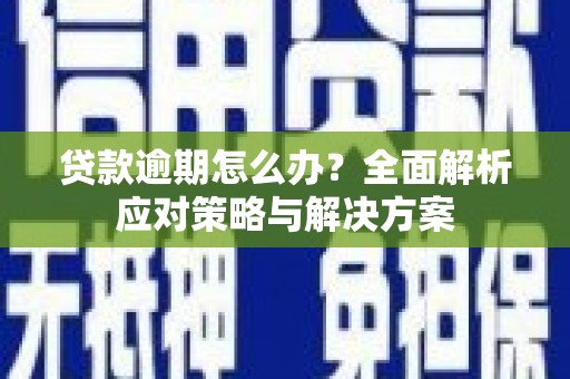 岳塘贷款逾期怎么办？全面解析应对策略与解决方案