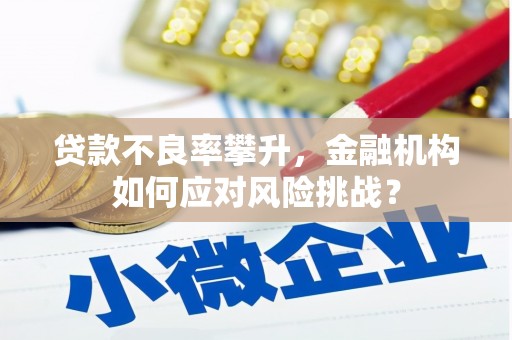 岳塘贷款不良率攀升，金融机构如何应对风险挑战？