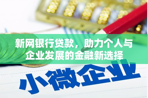 岳塘新网银行贷款，助力个人与企业发展的金融新选择