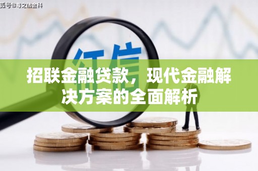 岳塘招联金融贷款，现代金融解决方案的全面解析