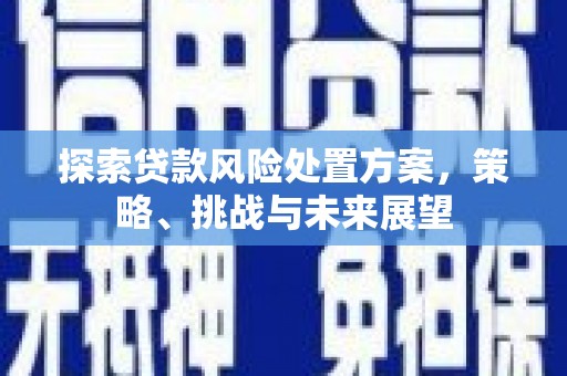 岳塘探索贷款风险处置方案，策略、挑战与未来展望