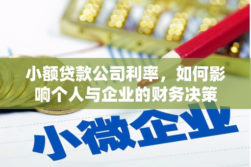 岳塘小额贷款公司利率，如何影响个人与企业的财务决策
