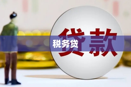 岳塘税务贷