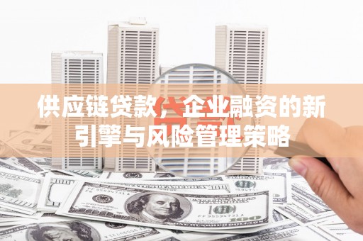岳塘供应链贷款，企业融资的新引擎与风险管理策略
