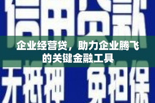 岳塘企业经营贷，助力企业腾飞的关键金融工具
