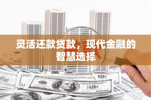 岳塘灵活还款贷款，现代金融的智慧选择