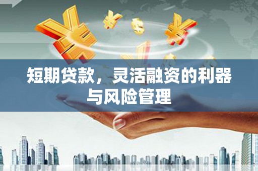 岳塘短期贷款，灵活融资的利器与风险管理