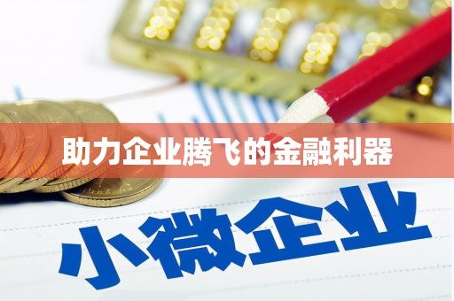 岳塘助力企业腾飞的金融利器
