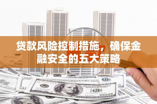 岳塘贷款风险控制措施，确保金融安全的五大策略