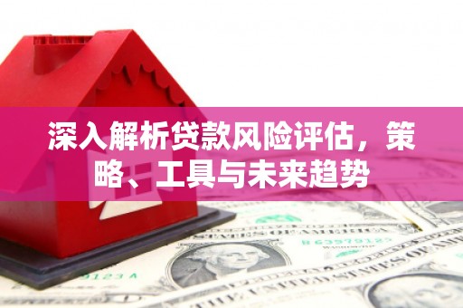 岳塘深入解析贷款风险评估，策略、工具与未来趋势