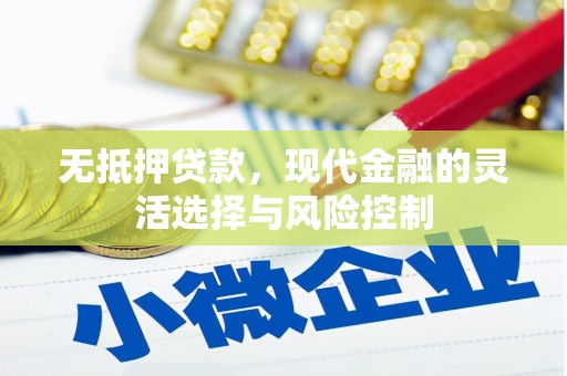 岳塘无抵押贷款，现代金融的灵活选择与风险控制