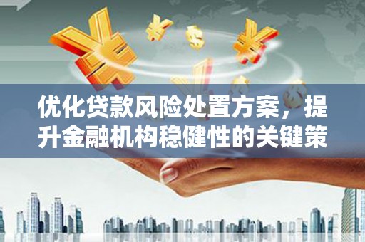 岳塘优化贷款风险处置方案，提升金融机构稳健性的关键策略