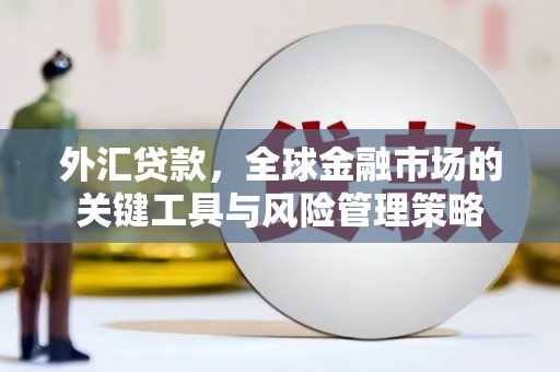 岳塘外汇贷款，全球金融市场的关键工具与风险管理策略