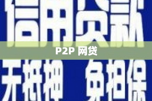 岳塘P2P 网贷