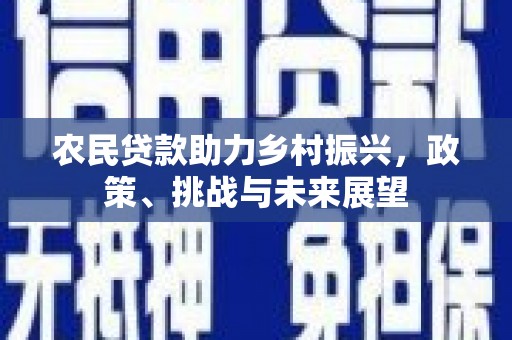 岳塘农民贷款助力乡村振兴，政策、挑战与未来展望